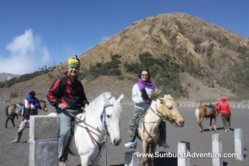 berkudadilautanpasir