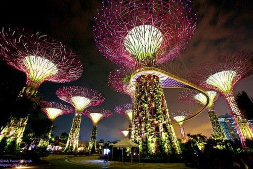 garden-by-the-bay-singapore-11