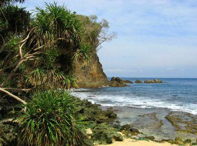 ujung-kulon-15