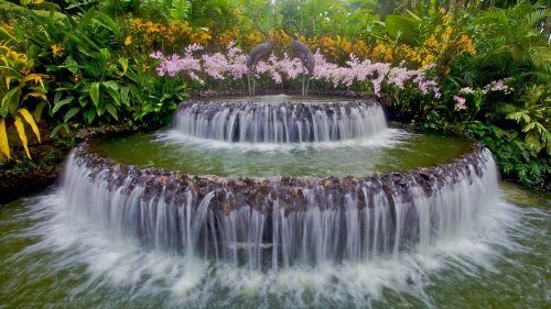 singapore-botanic-gardens-39496