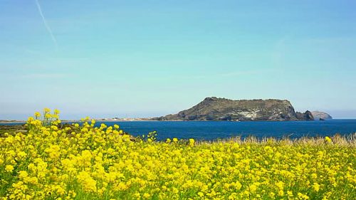 Ilchulbong Sunrise Peak