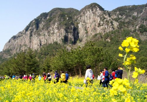 Jeju Island