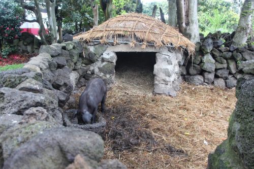Seongeuop Folk Village