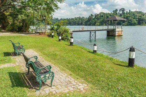 MacRitchie Reservoir Singapore