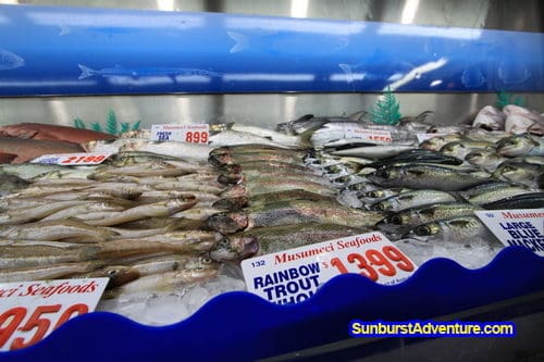 tempat wisata di Sydney fish market
