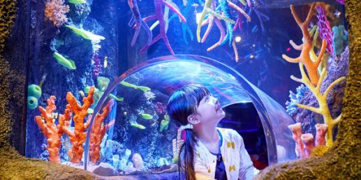 Tempat Wisata Laser Di Singapore Untuk Anak
